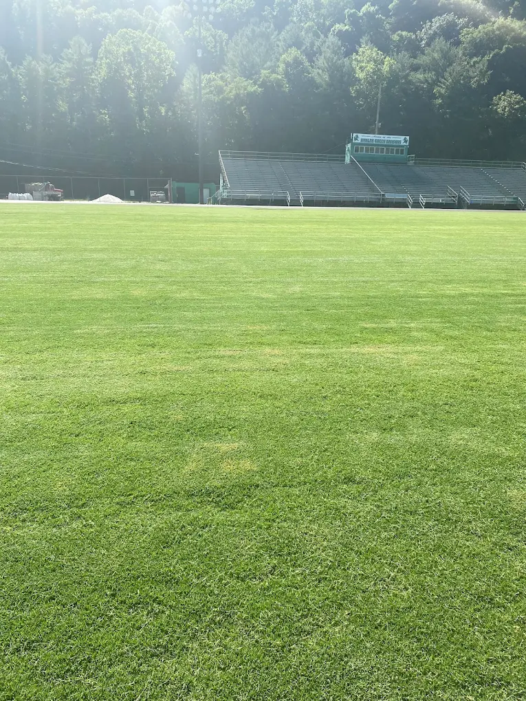 Freshly maintained stadium field at sunrise